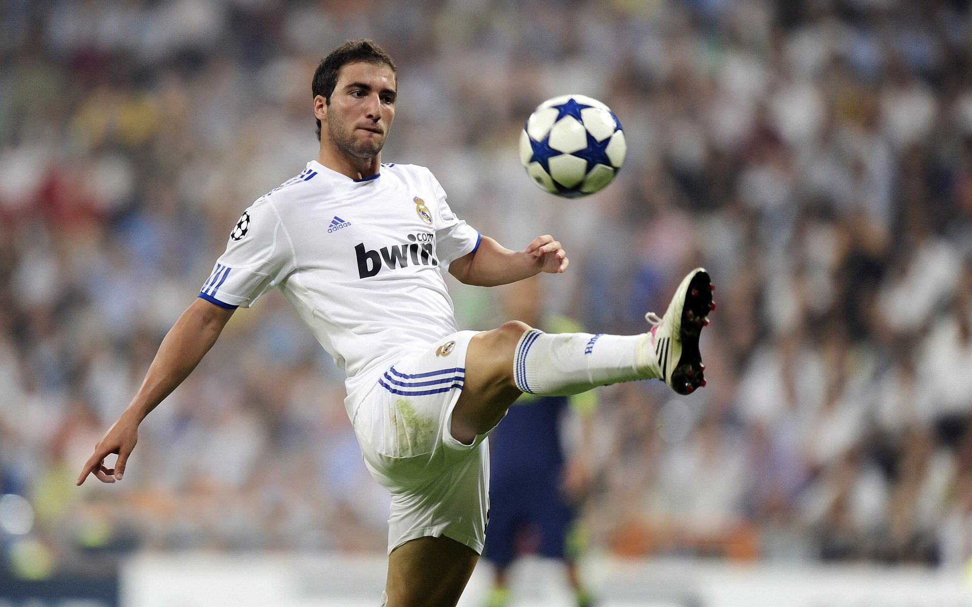 意大利举重选手在女子比赛中获得铜牌，意大利举重小哥zanni